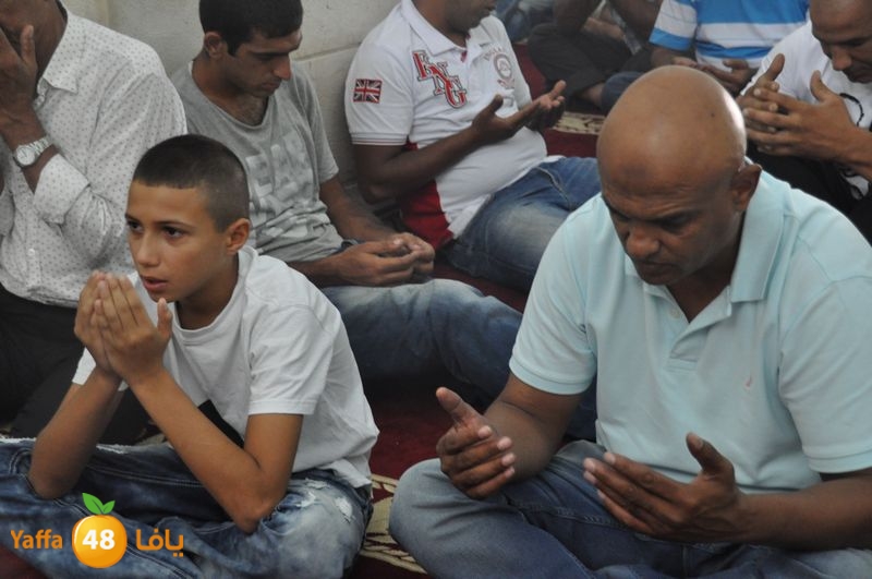 jom3a lud 831 (53).JPG